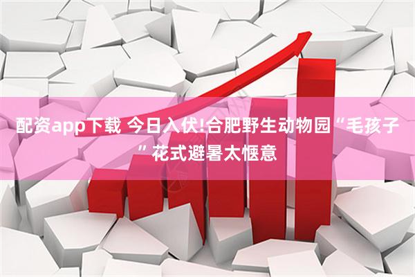 配资app下载 今日入伏!合肥野生动物园“毛孩子”花式避暑太惬意