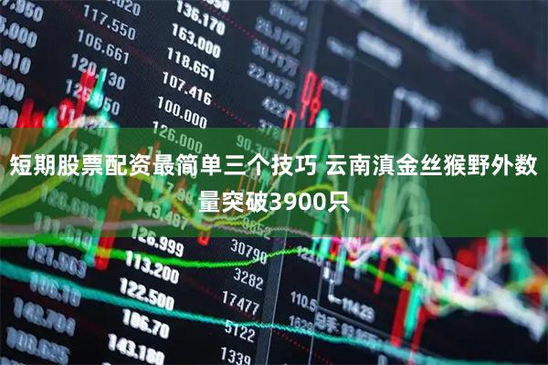 短期股票配资最简单三个技巧 云南滇金丝猴野外数量突破3900只