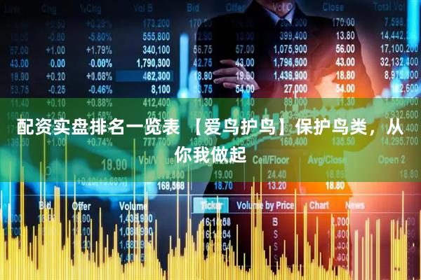 配资实盘排名一览表 【爱鸟护鸟】保护鸟类，从你我做起